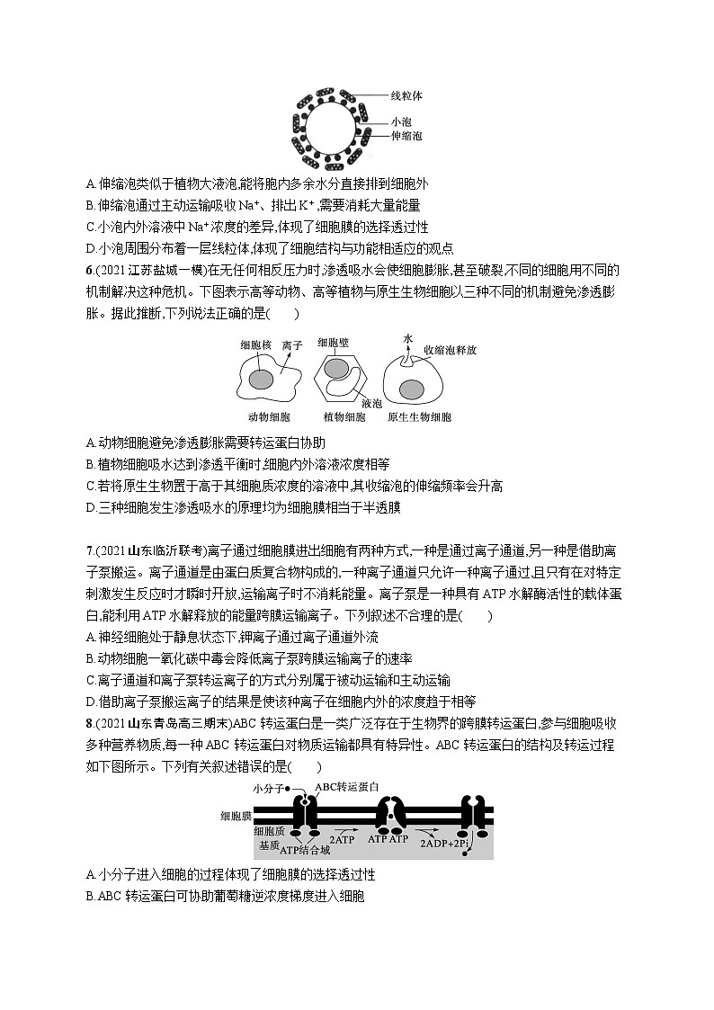 人教版新高考生物二轮复习专题训练--细胞的结构基础与物质运输第2页