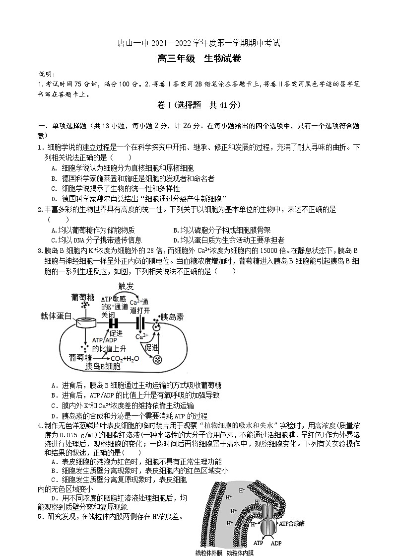 2022届河北省唐山市一中高三上学期期中考试生物试题(word版含答案)第1页