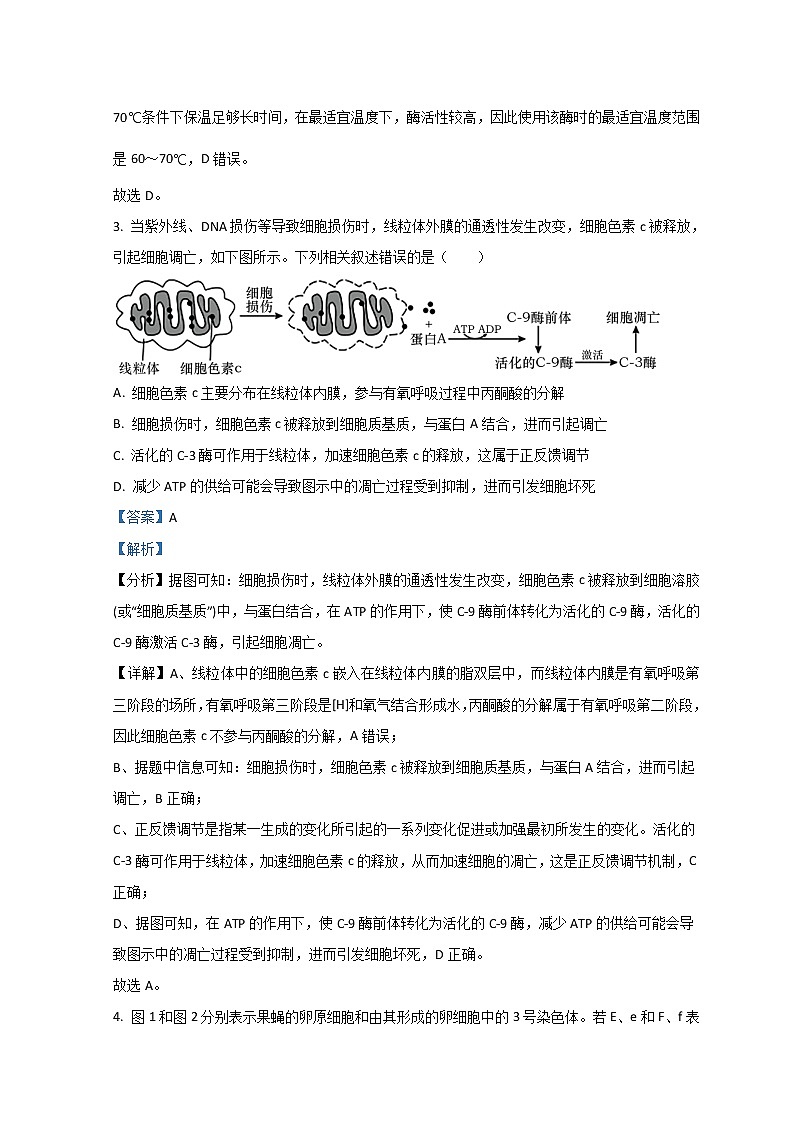 山东省日照市2022届高三下学期3月一模考试生物试题含解析第3页
