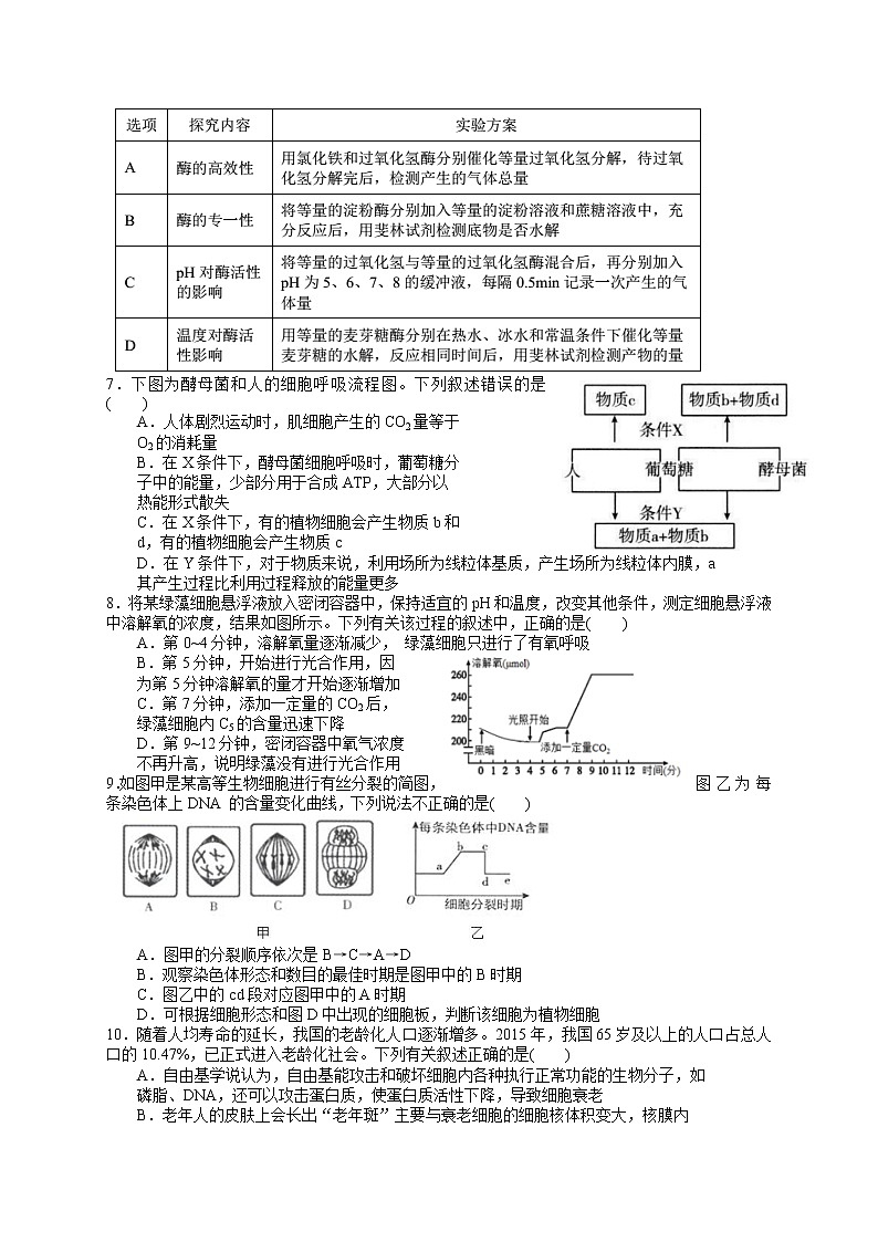 湖北省新高考联考协作体2021-2022学年高一下学期3月考试生物试题含解析第2页