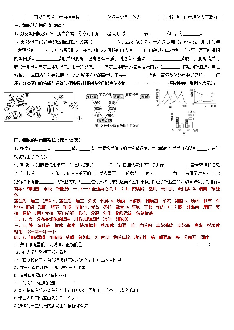 3.2 细胞器之间的分工合作 学案【新教材】人教版(2019)高中生物必修一02