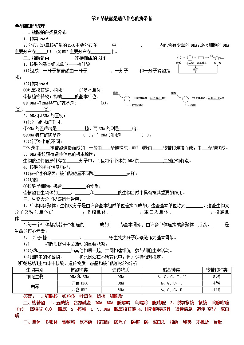 2.5 核酸是遗传信息的携带者 学案【新教材】人教版(2019)高中生物必修一第1页