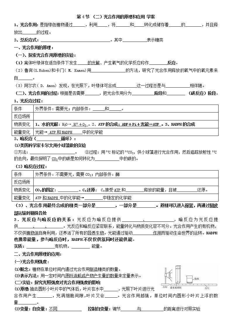 5.4.2 光合作用与能量转化 光合作用的原理和应用 学案 【新教材】人教版(2019)高中生物必修一第1页