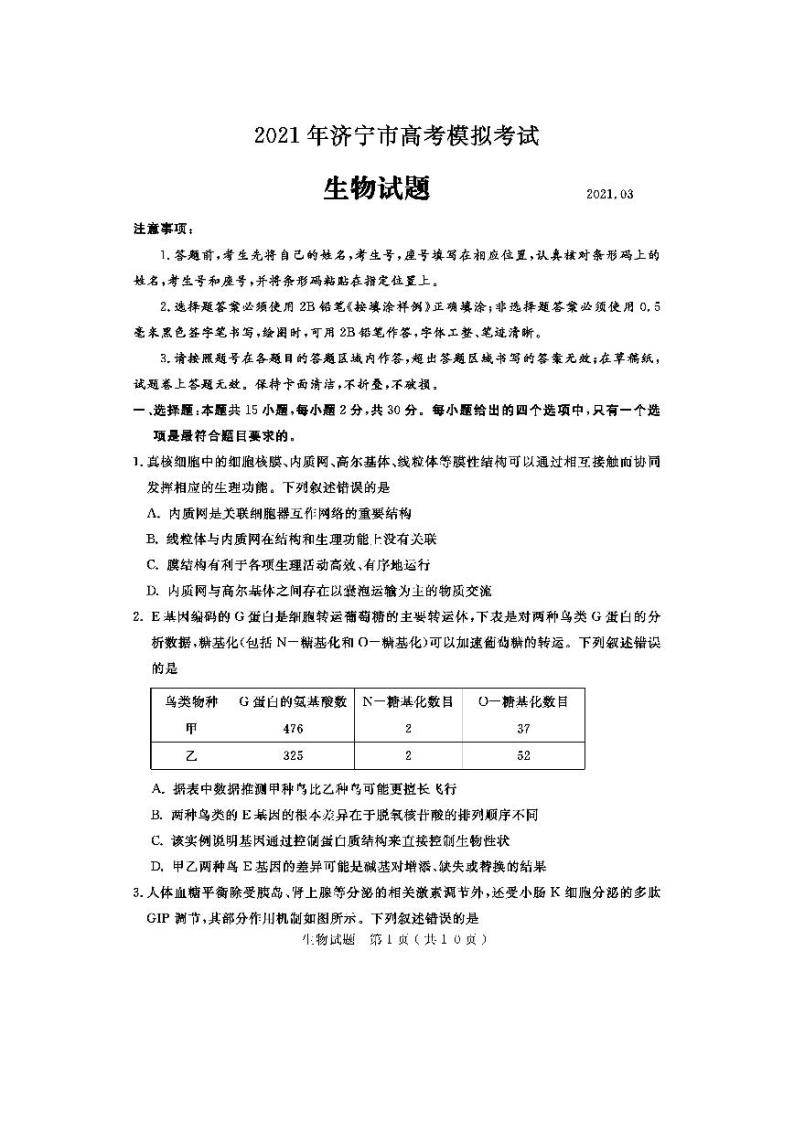2021届山东省济宁市高三下学期3月模拟（一模）生物试题 PDF版01