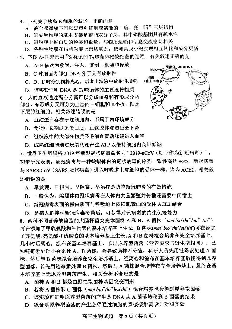 山东省淄博市2020届高三第一次模拟考试(4月)生物试题 PDF版含答案第2页