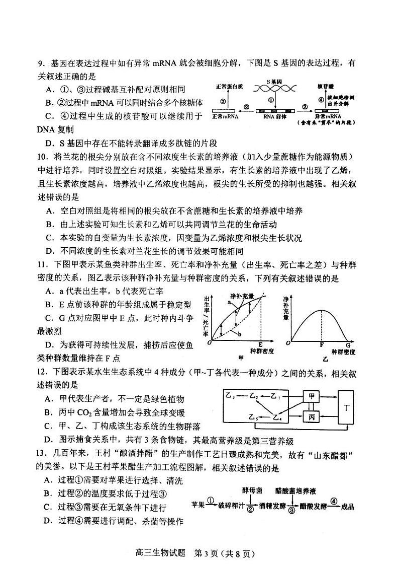 山东省淄博市2020届高三第一次模拟考试(4月)生物试题 PDF版含答案第3页