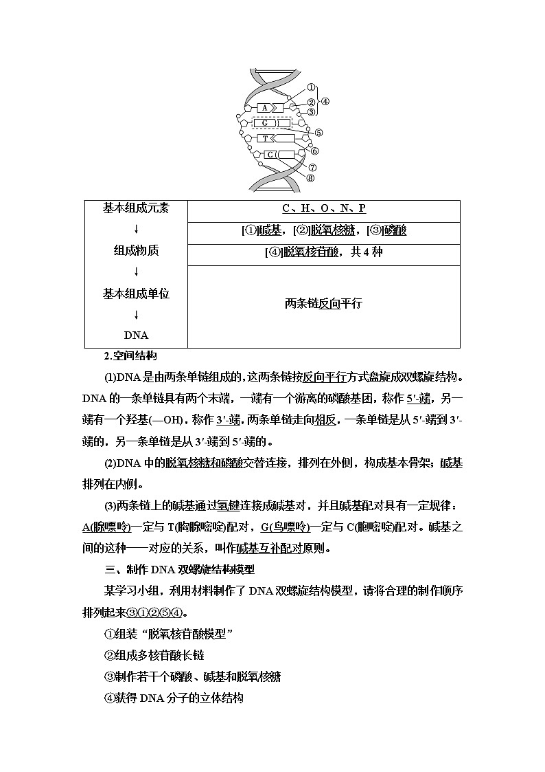 2021-2022学年高中生物新人教版必修第二册 第3章 第2节 DNA的结构 学案第2页