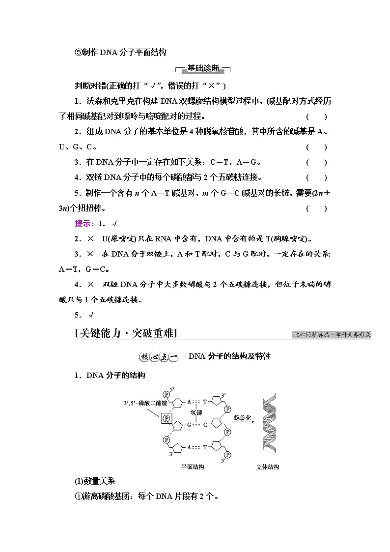 2021-2022学年高中生物新人教版必修第二册 第3章 第2节 DNA的结构 学案第3页