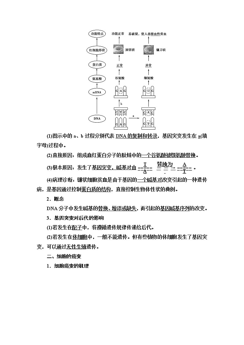 2021-2022学年高中生物新人教版必修第二册 第5章 第1节 基因突变和基因重组 学案第2页