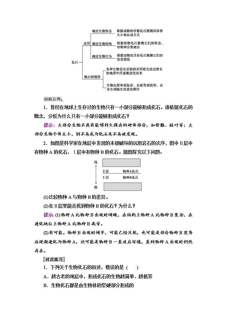 2021-2022学年高中生物新人教版必修第二册 第6章 第1节 生物有共同祖先的证据 学案第3页