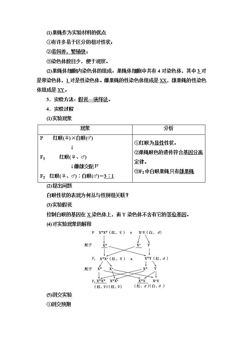 2021-2022学年高中生物新人教版必修第二册 第2章 第2节 基因在染色体上 学案第2页