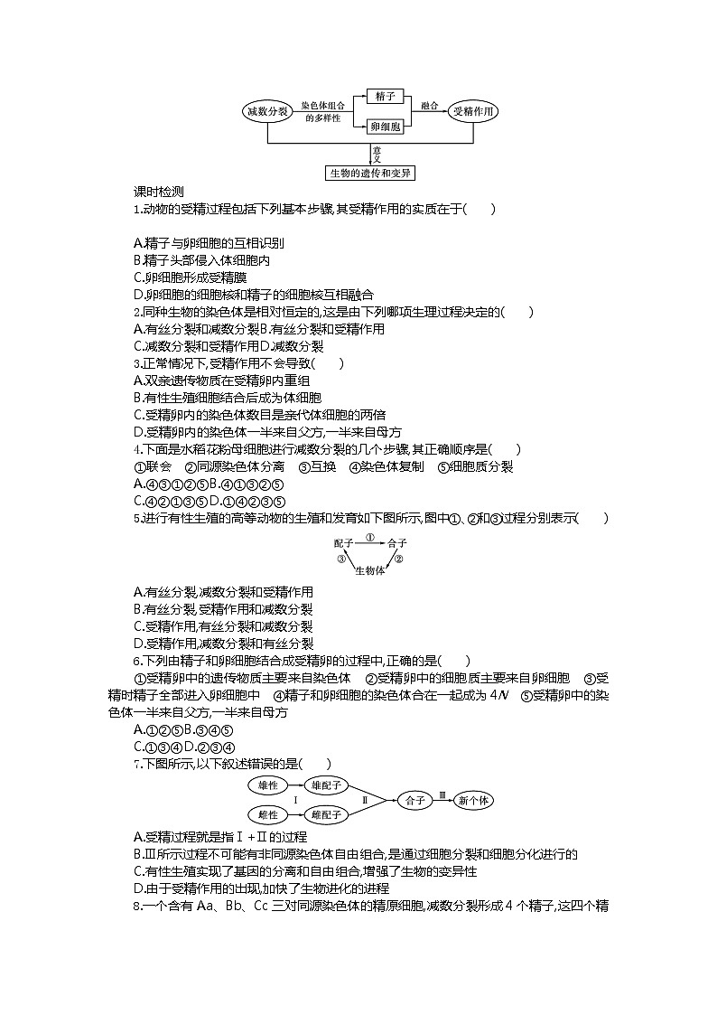 2020-2021学年高中生物新人教版必修2 2.1受精作用 学案第3页