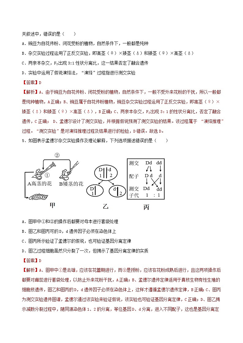 第一章 章节复习与检测-2021-2022学年高一下学期生物同步考点精讲精练(人教版2019必修2)(解析版)第3页