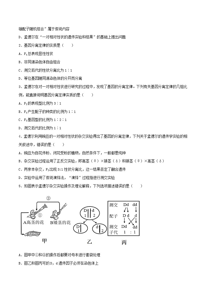 第一章 章节复习与检测-2021-2022学年高一下学期生物同步考点精讲精练(人教版2019必修2)(原卷版)第2页
