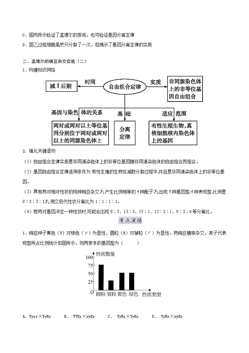 第一章 章节复习与检测-2021-2022学年高一下学期生物同步考点精讲精练(人教版2019必修2)(原卷版)第3页