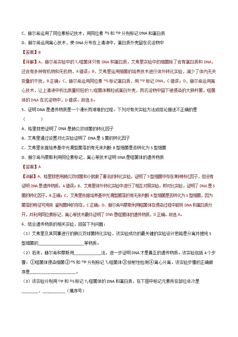 第三章 章节复习与检测-2021-2022学年高一下学期生物同步考点精讲精练(人教版2019必修2)课件PPT03