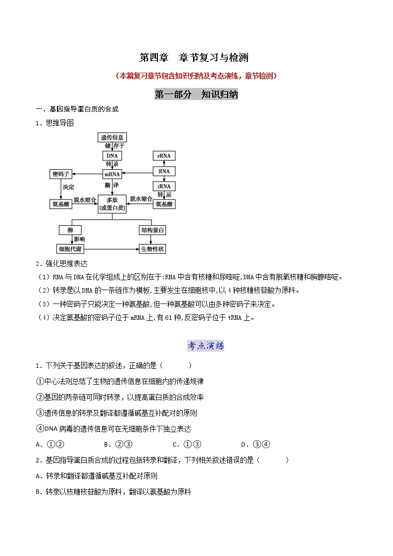 第四章 章节复习与检测-2021-2022学年高一下学期生物同步考点精讲精练（人教版2019必修2）课件PPT01