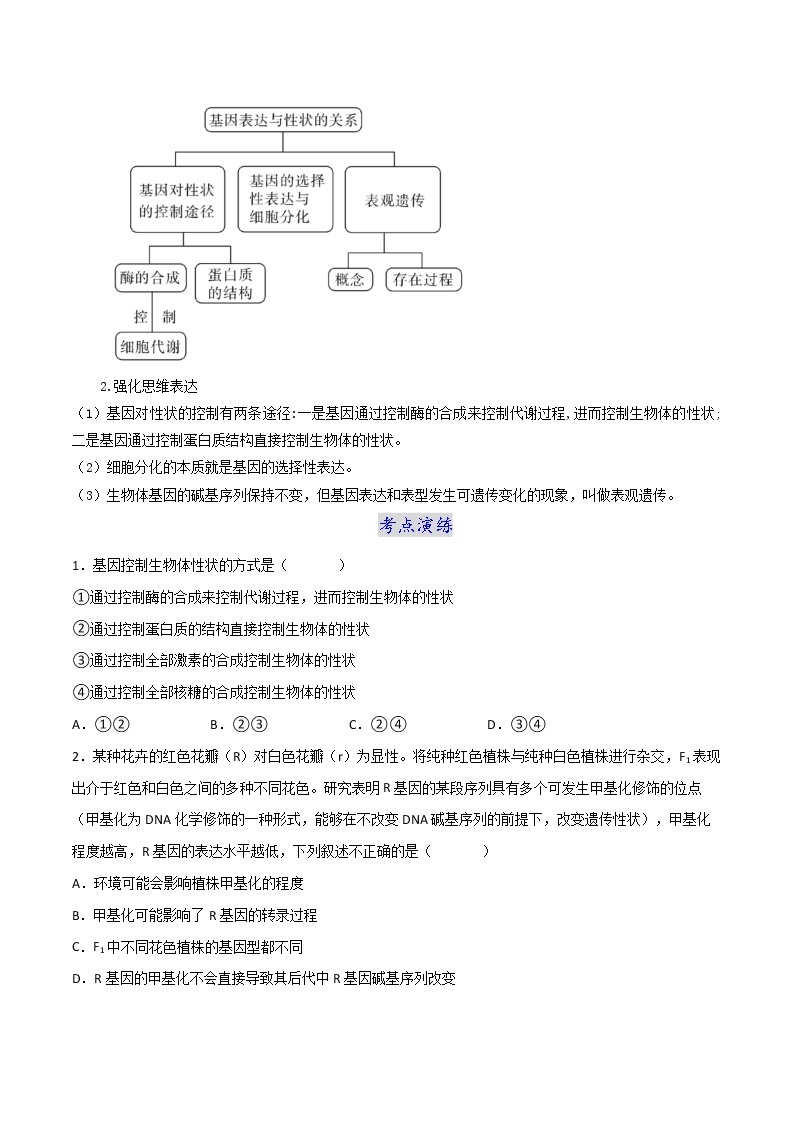 第四章 章节复习与检测-2021-2022学年高一下学期生物同步考点精讲精练（人教版2019必修2）课件PPT03