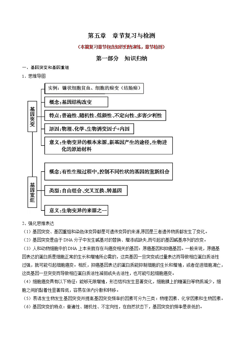第五章 章节复习与检测-2021-2022学年高一下学期生物同步考点精讲精练(人教版2019必修2)课件PPT01