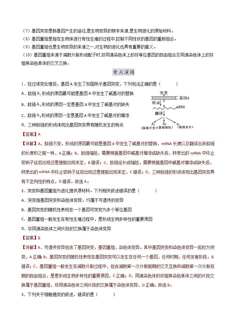 第五章 章节复习与检测-2021-2022学年高一下学期生物同步考点精讲精练(人教版2019必修2)课件PPT02