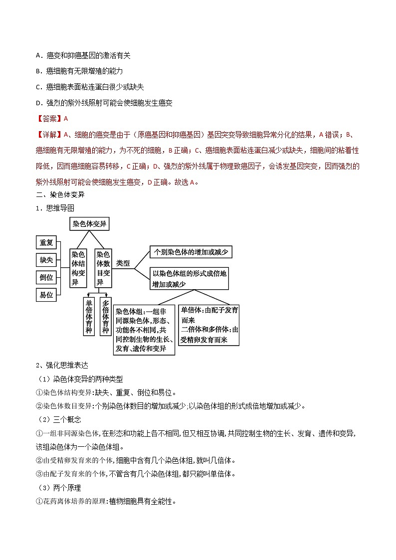 第五章 章节复习与检测-2021-2022学年高一下学期生物同步考点精讲精练(人教版2019必修2)课件PPT03