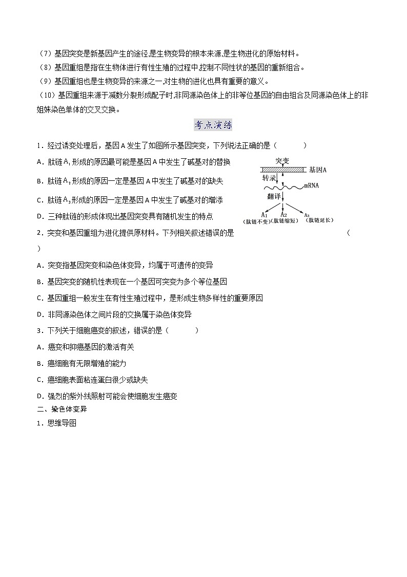 第五章 章节复习与检测-2021-2022学年高一下学期生物同步考点精讲精练(人教版2019必修2)课件PPT02