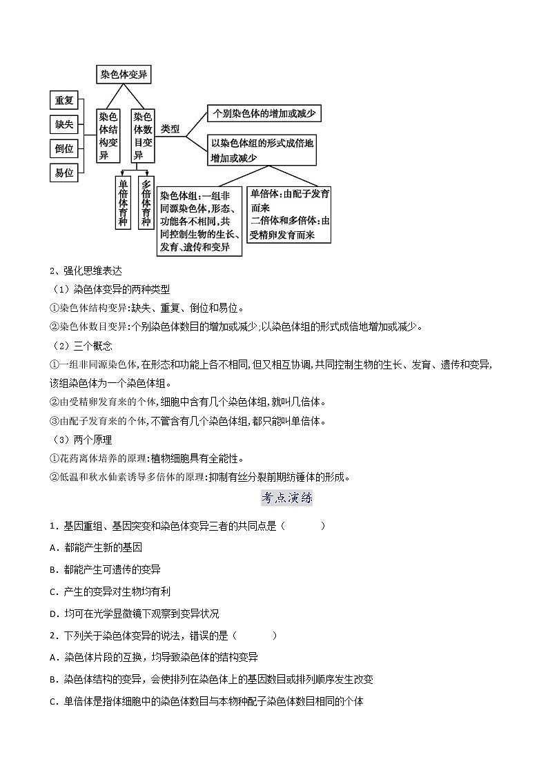 第五章 章节复习与检测-2021-2022学年高一下学期生物同步考点精讲精练(人教版2019必修2)课件PPT03
