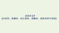 浙科版 (2019)必修1《分子與細(xì)胞》第三節(jié) 細(xì)胞質(zhì)是多項(xiàng)生命活動(dòng)的場所作業(yè)ppt課件