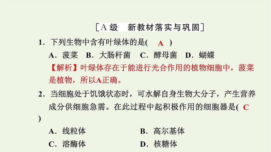 2021_2022學(xué)年新教材高中生物高效作業(yè)7內(nèi)質(zhì)網(wǎng)核糖體高爾基體溶酶體線粒體和葉綠體課件浙科版必修第一冊第2頁