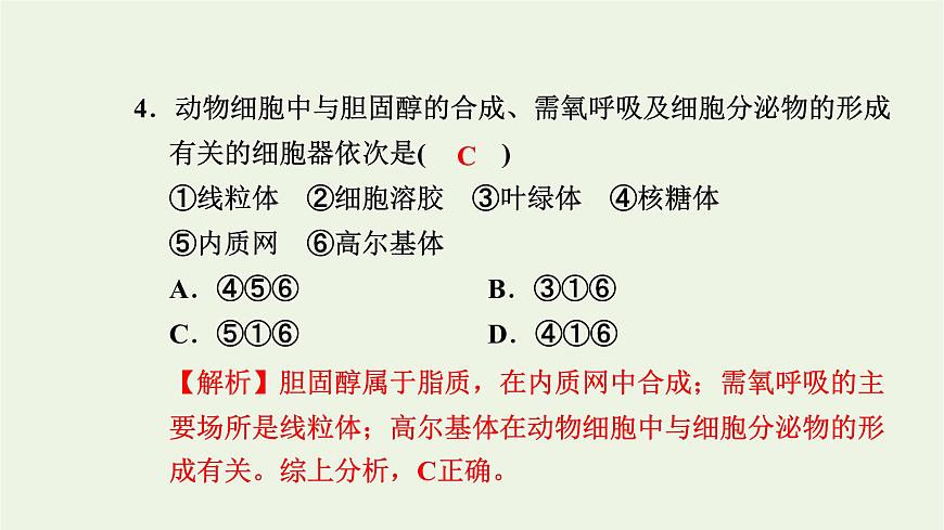 2021_2022學(xué)年新教材高中生物高效作業(yè)7內(nèi)質(zhì)網(wǎng)核糖體高爾基體溶酶體線粒體和葉綠體課件浙科版必修第一冊第5頁