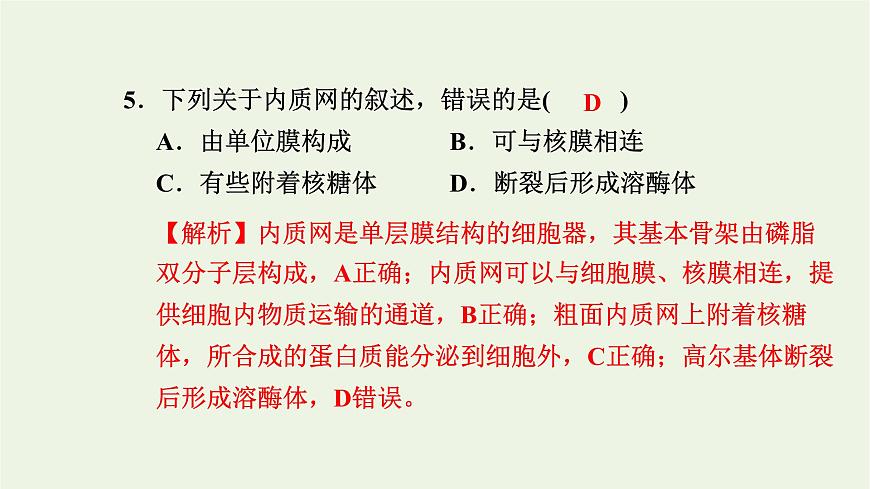 2021_2022學(xué)年新教材高中生物高效作業(yè)7內(nèi)質(zhì)網(wǎng)核糖體高爾基體溶酶體線粒體和葉綠體課件浙科版必修第一冊第6頁