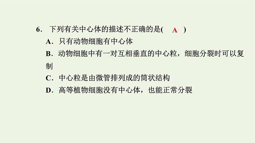 2021_2022學(xué)年新教材高中生物高效作業(yè)8液泡中心體細(xì)胞溶膠細(xì)胞骨架觀察葉綠體和細(xì)胞質(zhì)流動(dòng)課件浙科版必修第一冊(cè)第8頁