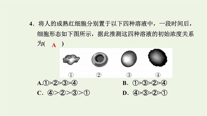 2021_2022學(xué)年新教材高中生物高效作業(yè)15擴(kuò)散和滲透質(zhì)壁分離及質(zhì)壁分離復(fù)原實(shí)驗(yàn)課件浙科版必修第一冊第5頁