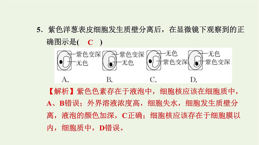 2021_2022學(xué)年新教材高中生物高效作業(yè)15擴(kuò)散和滲透質(zhì)壁分離及質(zhì)壁分離復(fù)原實(shí)驗(yàn)課件浙科版必修第一冊第7頁