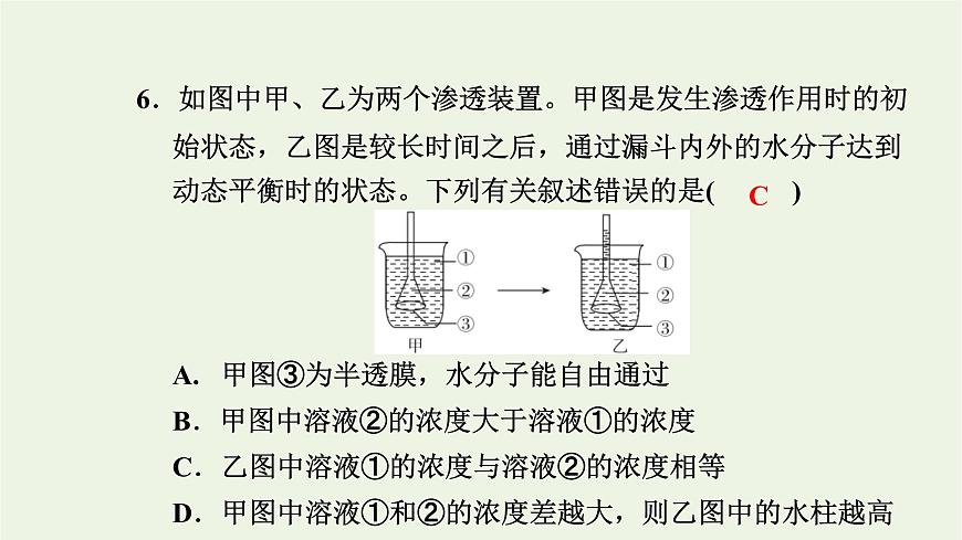 2021_2022學(xué)年新教材高中生物高效作業(yè)15擴(kuò)散和滲透質(zhì)壁分離及質(zhì)壁分離復(fù)原實(shí)驗(yàn)課件浙科版必修第一冊第8頁