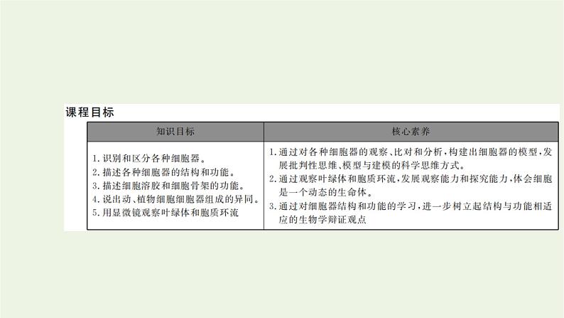 2021_2022学年新教材高中生物第二章细胞的结构第三节第1课时内质网核糖体高尔基体溶酶体线粒体和叶绿体课件浙科版必修第一册第2页