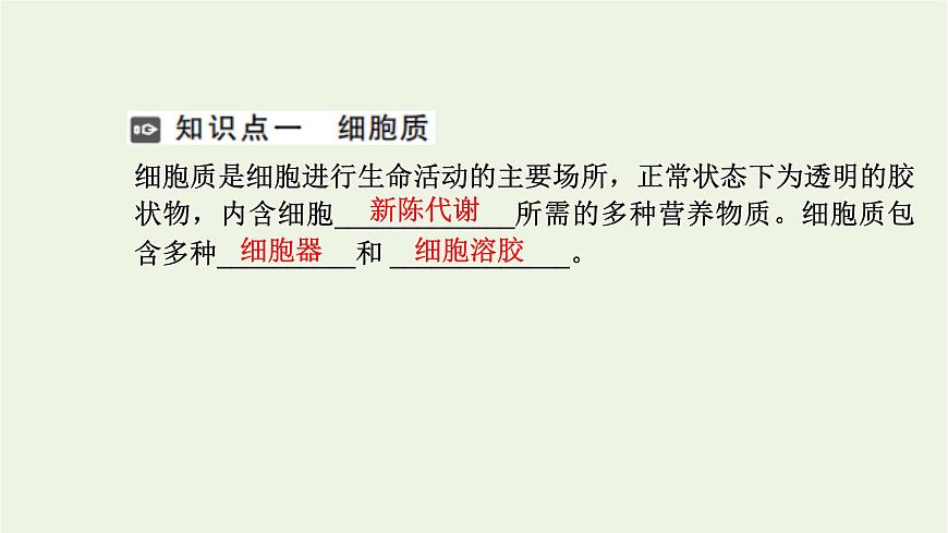 2021_2022學年新教材高中生物第二章細胞的結構第三節(jié)第1課時內質網(wǎng)核糖體高爾基體溶酶體線粒體和葉綠體課件浙科版必修第一冊第3頁