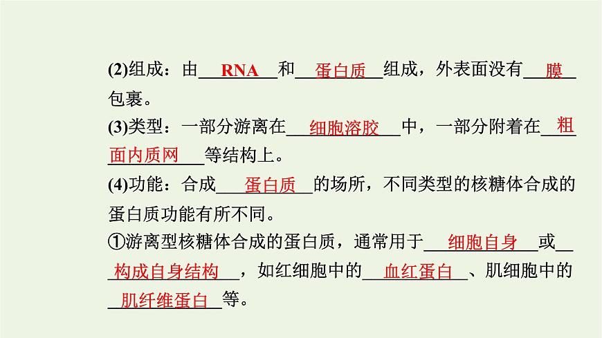 2021_2022學年新教材高中生物第二章細胞的結構第三節(jié)第1課時內質網(wǎng)核糖體高爾基體溶酶體線粒體和葉綠體課件浙科版必修第一冊第6頁