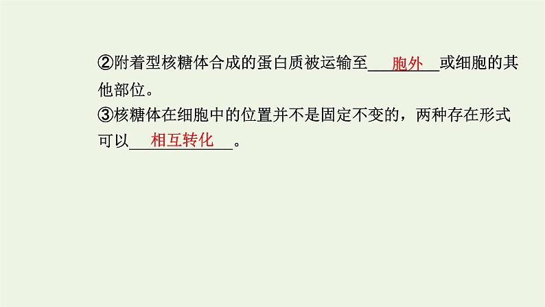 2021_2022学年新教材高中生物第二章细胞的结构第三节第1课时内质网核糖体高尔基体溶酶体线粒体和叶绿体课件浙科版必修第一册第7页