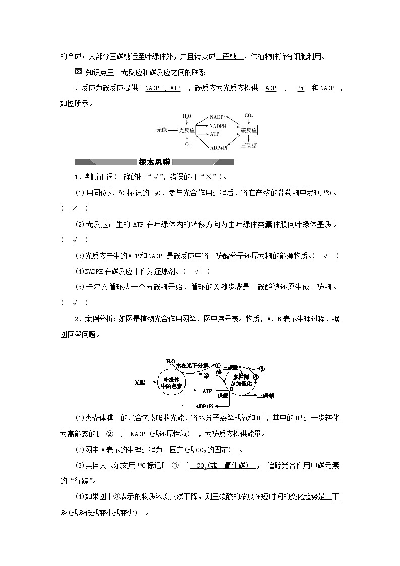 2021_2022學(xué)年新教材高中生物第三章細(xì)胞的代謝第五節(jié)第2課時(shí)光反應(yīng)和碳反應(yīng)的過(guò)程學(xué)案浙科版必修第一冊(cè)第2頁(yè)