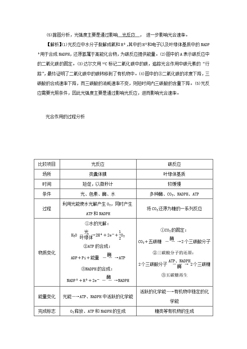 2021_2022學(xué)年新教材高中生物第三章細(xì)胞的代謝第五節(jié)第2課時(shí)光反應(yīng)和碳反應(yīng)的過(guò)程學(xué)案浙科版必修第一冊(cè)第3頁(yè)