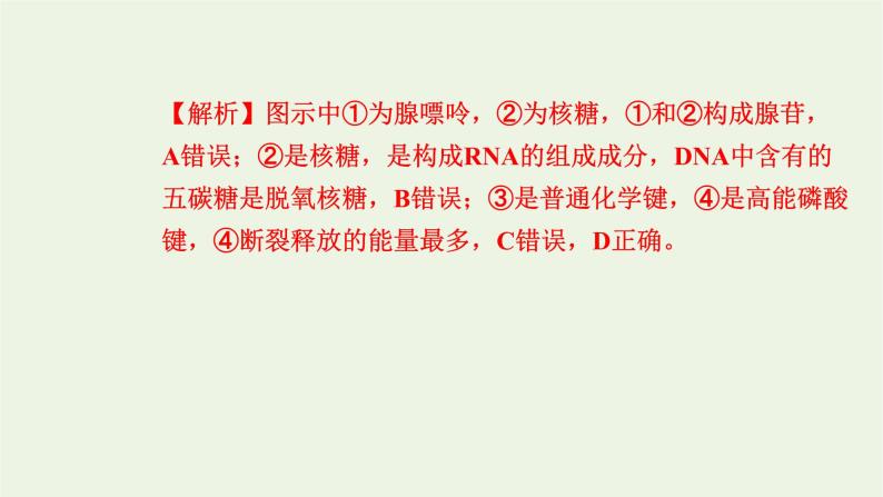 2021_2022学年新教材高中生物第三章细胞的代谢素养检测卷课件浙科版必修第一册06