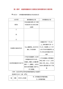 高中生物浙科版 (2019)必修1《分子与细胞》第二节 细胞通过分化产生不同类型的细胞第2课时导学案