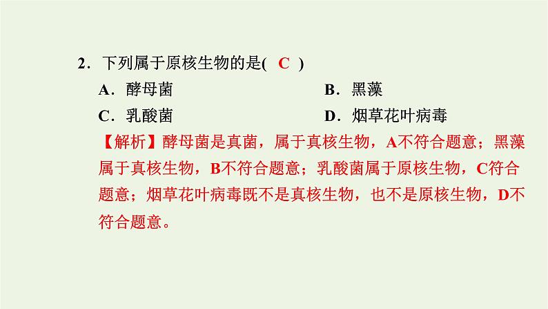 2021_2022学年新教材高中生物综合检测卷一课件浙科版必修第一册03