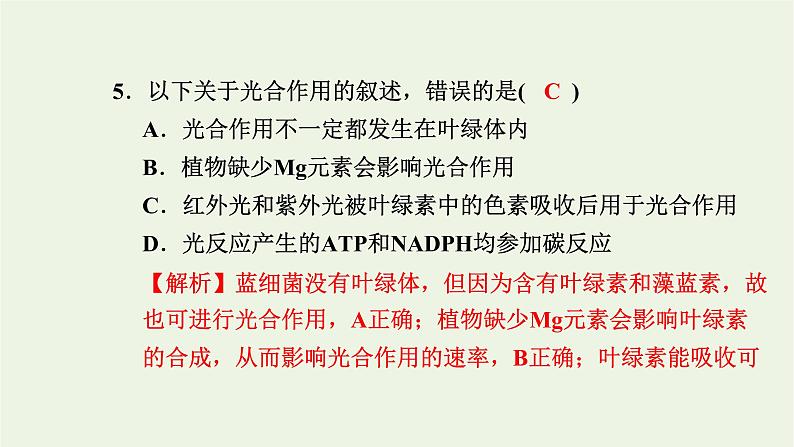 2021_2022学年新教材高中生物综合检测卷一课件浙科版必修第一册07