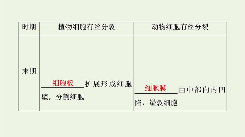 2021_2022学年新教材高中生物第6章细胞的生命历程第1节第2课时动物细胞的有丝分裂与观察根尖分生区组织细胞的有丝分裂课件新人教版必修1第8页