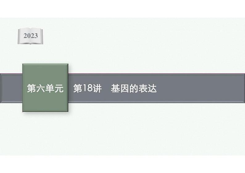 2023年老高考生物一轮复习第18讲 基因的表达课件PPT第1页