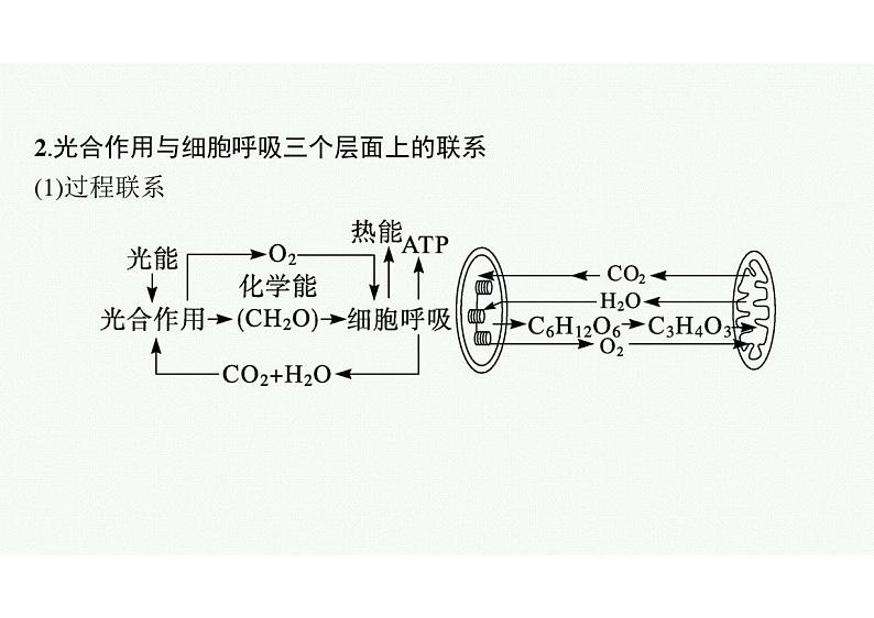 2023年老高考生物一轮复习微专题1 光合作用与细胞呼吸综合提升(含三率测定)第3页