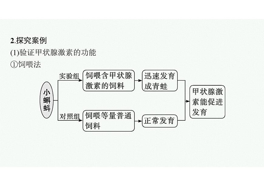 2023年老高考生物一輪復(fù)習(xí)微專題6　動(dòng)物激素功能的實(shí)驗(yàn)探究第3頁(yè)