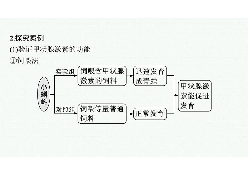 2023年老高考生物一轮复习微专题6 动物激素功能的实验探究第3页